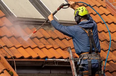 Démoussage et hydrofuge de toiture à Thélus